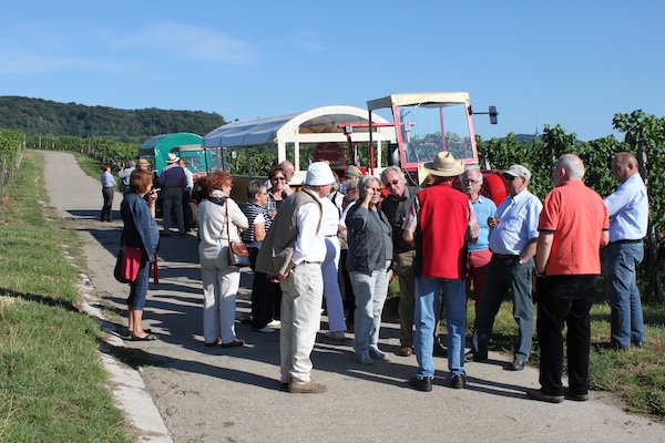 Kaiserstuhl-Ausflug Ehrennarren