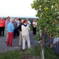 Kaiserstuhl-Ausflug Ehrennarren