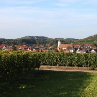 Kaiserstuhl-Ausflug Ehrennarren