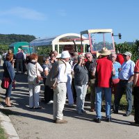 Kaiserstuhl-Ausflug Ehrennarren