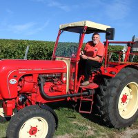 Kaiserstuhl-Ausflug Ehrennarren