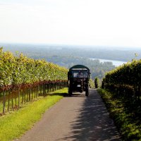 Kaiserstuhl-Ausflug Ehrennarren