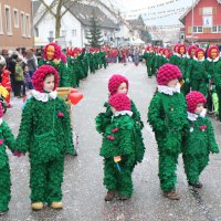 Jubiläumsumzug Schergässler