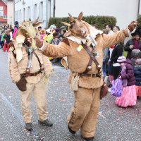 Jubiläumsumzug Schergässler