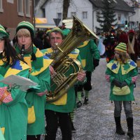 Jubiläumsumzug Schergässler